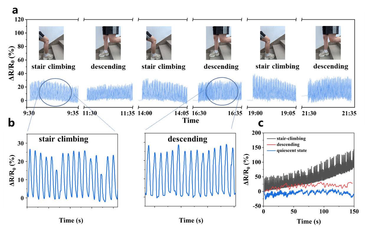 image-20240913092015-5