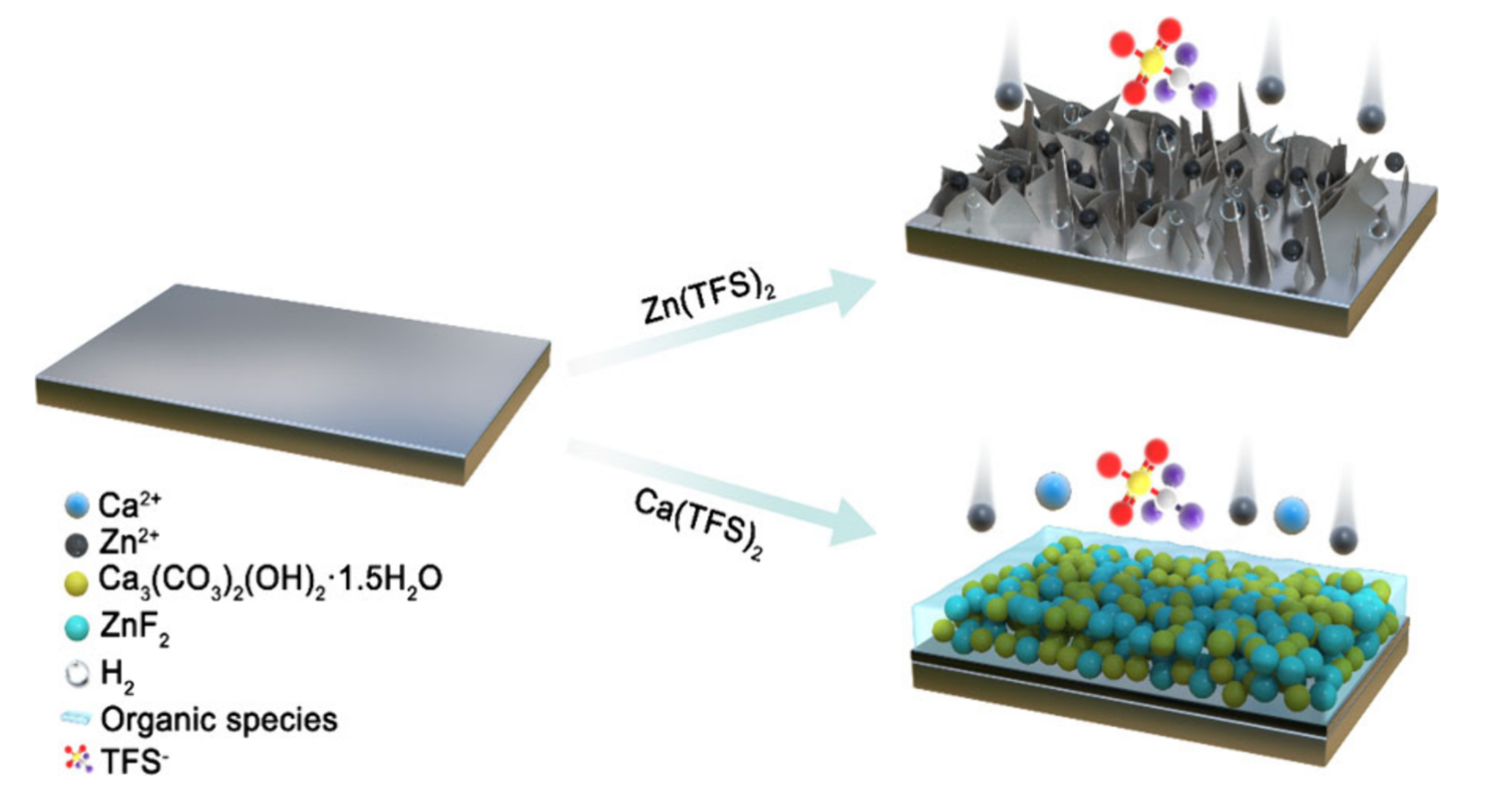 image-20240926161024-1