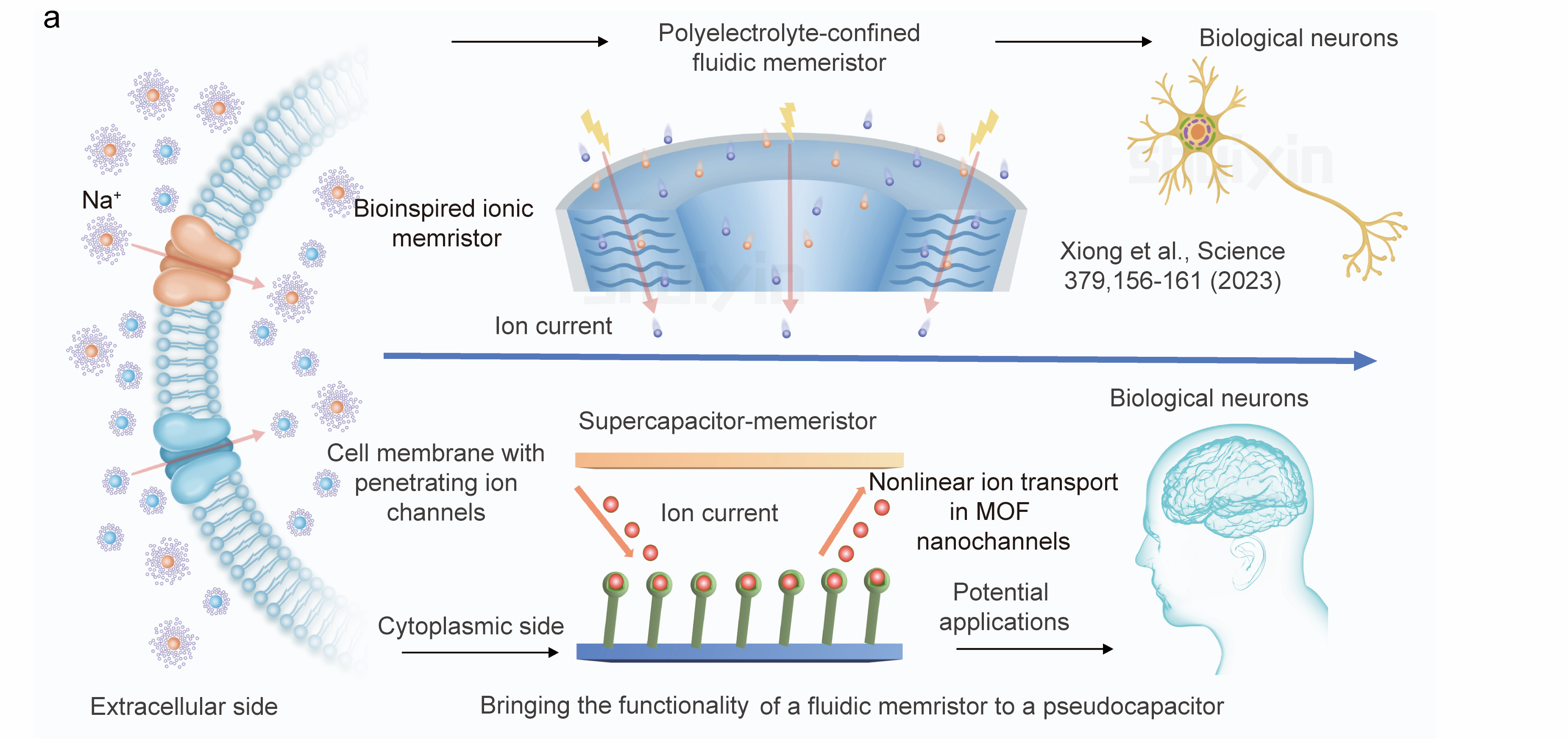 image-20240926161647-5