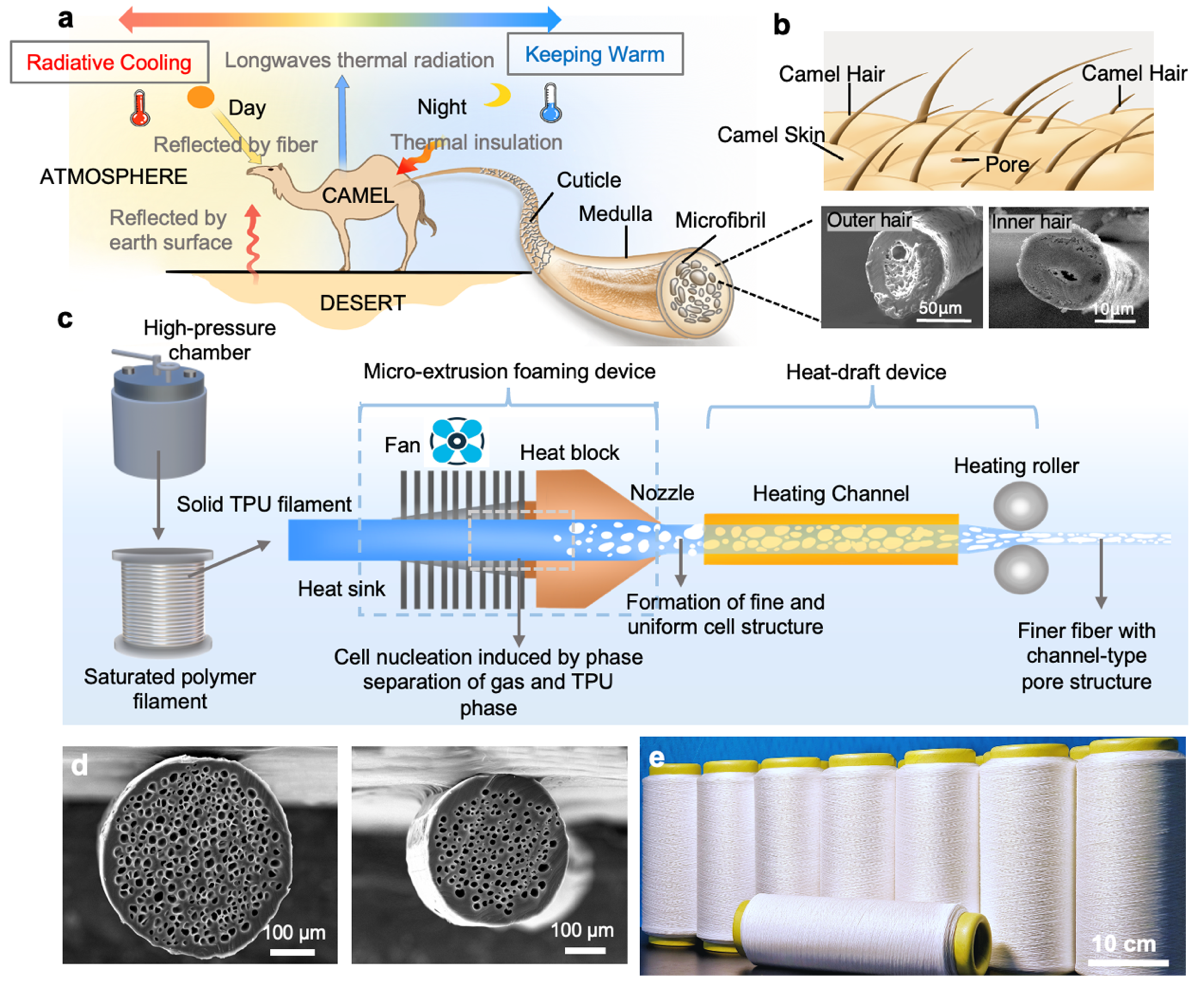 image-20241014091207-1