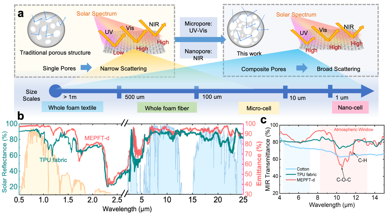 image-20241014091207-2