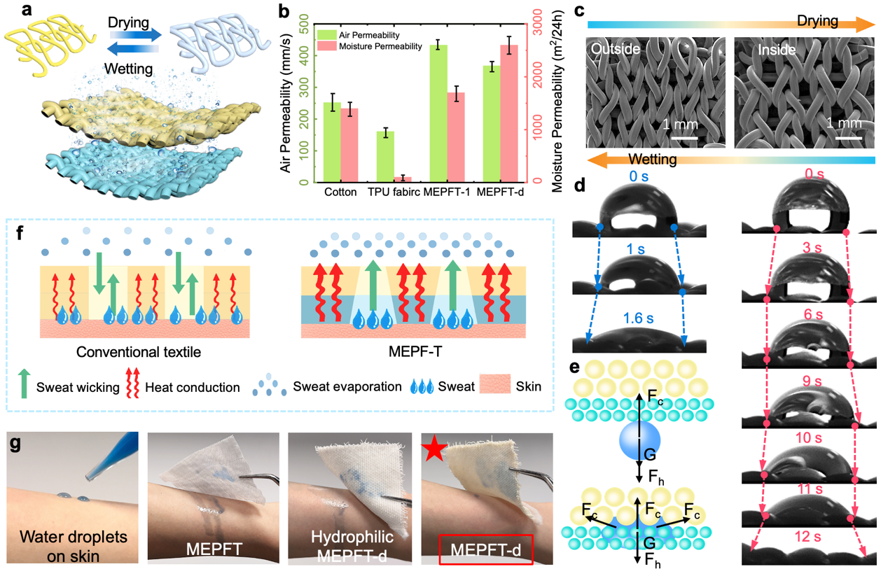 image-20241014091207-3