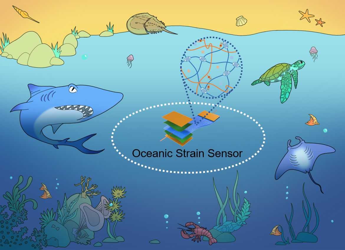 image-20241024095718-1