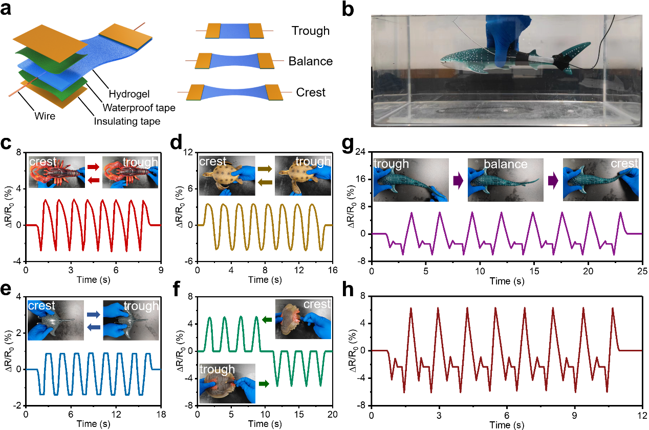 image-20241024095718-5