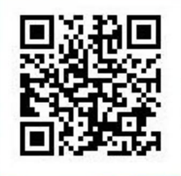 image-20241101102835-1