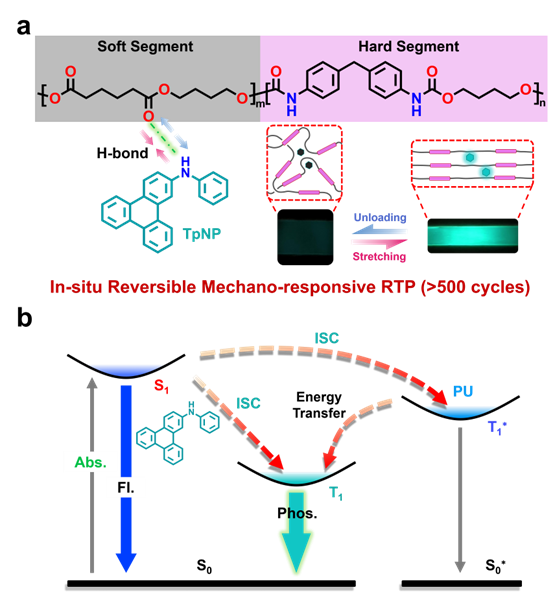 image-20241118150823-1