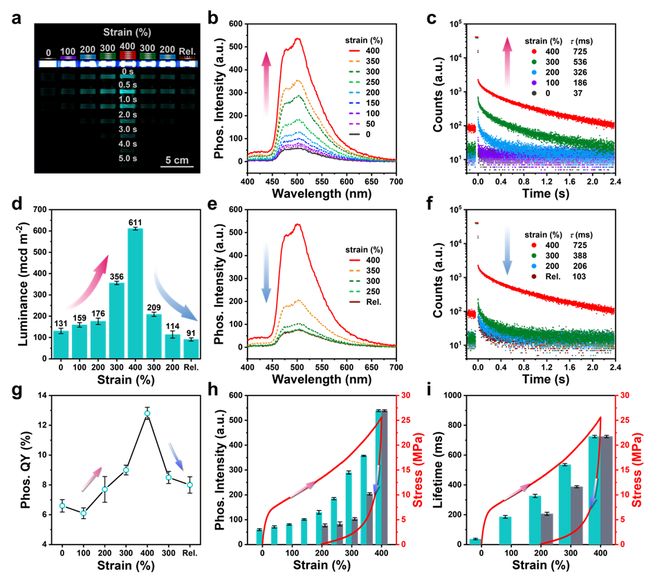 image-20241118150823-2