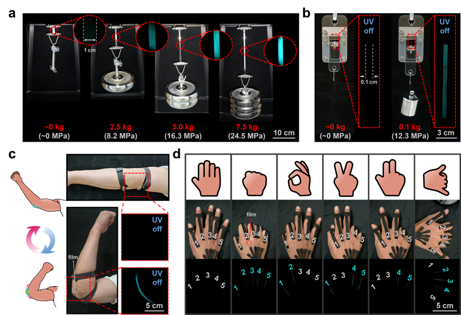 image-20241118150823-5