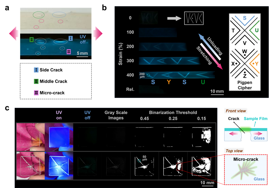 image-20241118150823-6