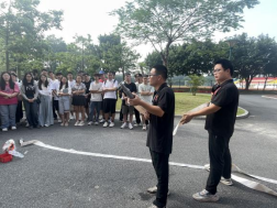 image-20241127155542-7