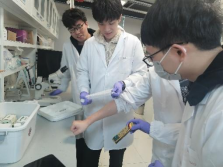 image-20241209094317-9