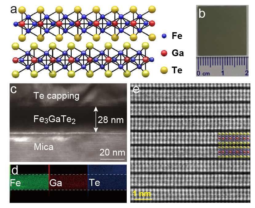 image-20250108142327-1