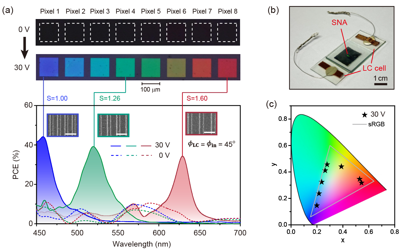image-20250108142611-2