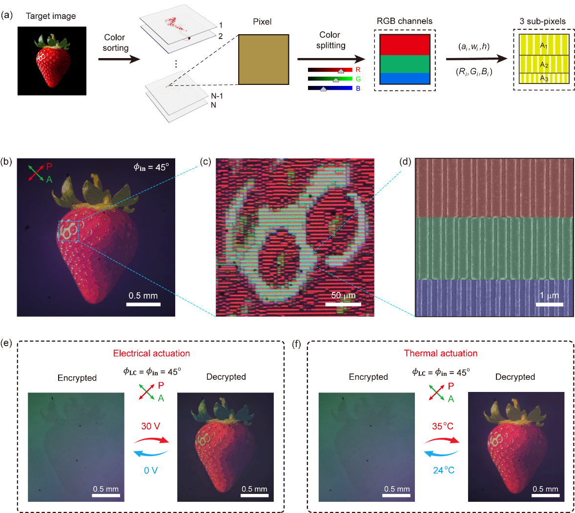 image-20250108142611-3