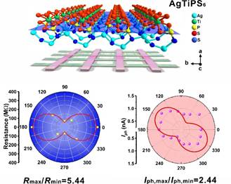 image-20250226093823-1