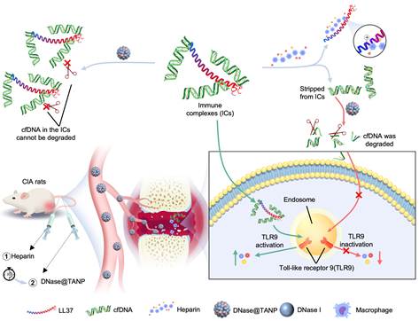 图示

AI 生成的内容可能不正确。